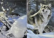Обложка для паспорта, цвет серый, «Волк и олень»